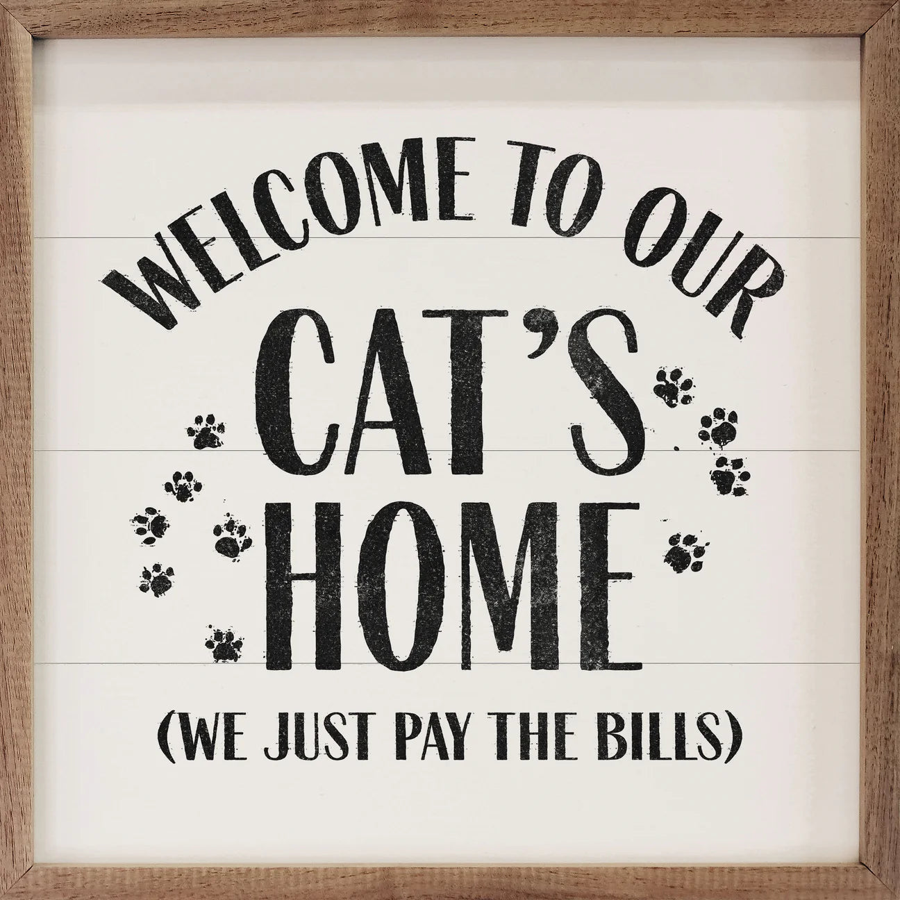 Welcome to Our Cat's Home, White