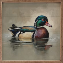 Wood Duck Portrait, 8x8