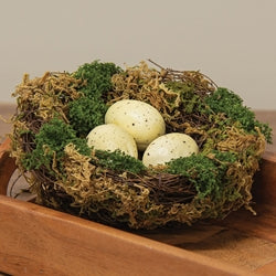 Lush Mossy Bird Nest w/ What Speckled Eggs